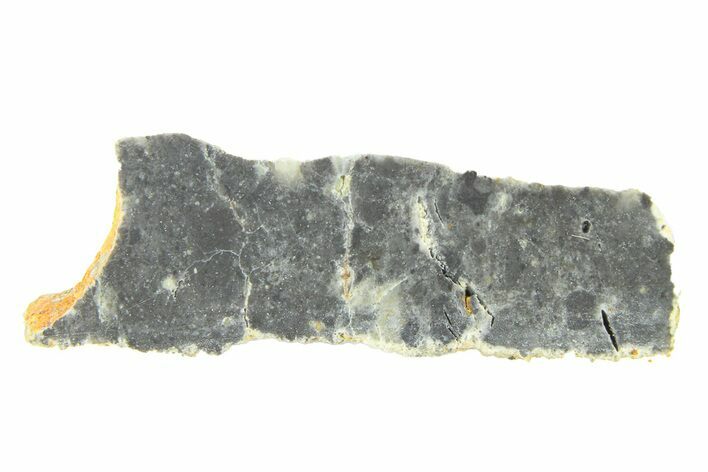 Lunar Meteorite ( g) Slice - Bechar #291716